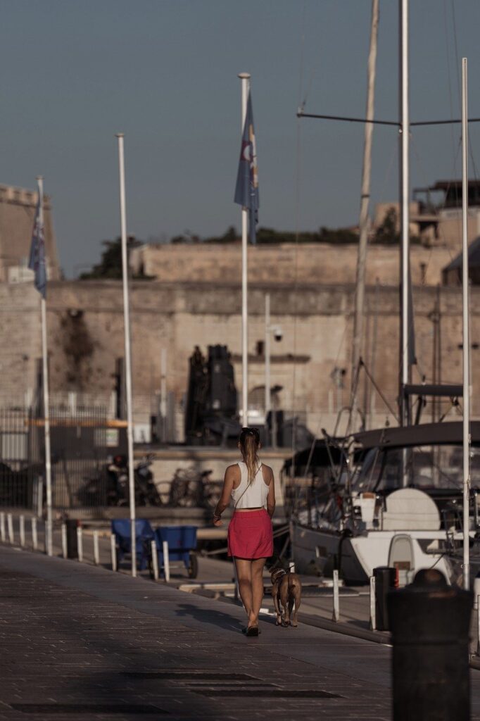 dog, woman, port